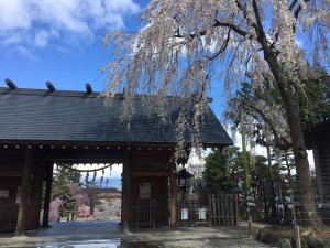 20200410 郡山市　開成山大神宮_200410_0005